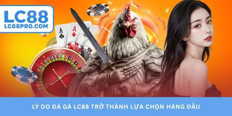 Lý do đá gà LC88 trở thành lựa chọn hàng đầu