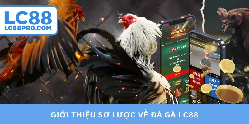 Giới thiệu sơ lược về đá gà LC88
