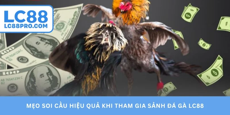 Mẹo soi cầu hiệu quả khi tham gia sảnh đá gà LC88
